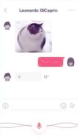 免费ddos在线攻击测试网站